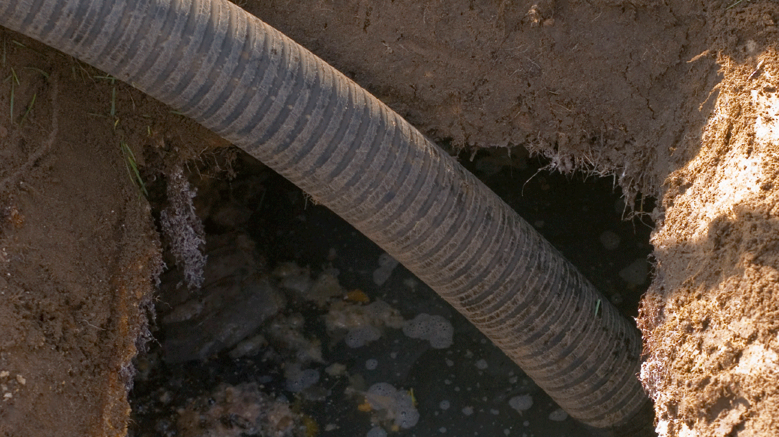 septic 
      tank cost texas cities 
      zip batch